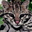  WMmail.ru #1230924 OCELOT