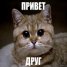  WMmail.ru #1309325 -Dmitriy-