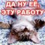 WMmail.ru #1654687 wadym1984