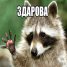  WMmail.ru #1685904 sabakaadrenalin