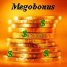  WMmail.ru #721203 Megobonus