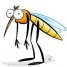  WMmail.ru #2266910 mosquito