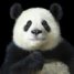  WMmail.ru #4298007 Panda_Q
